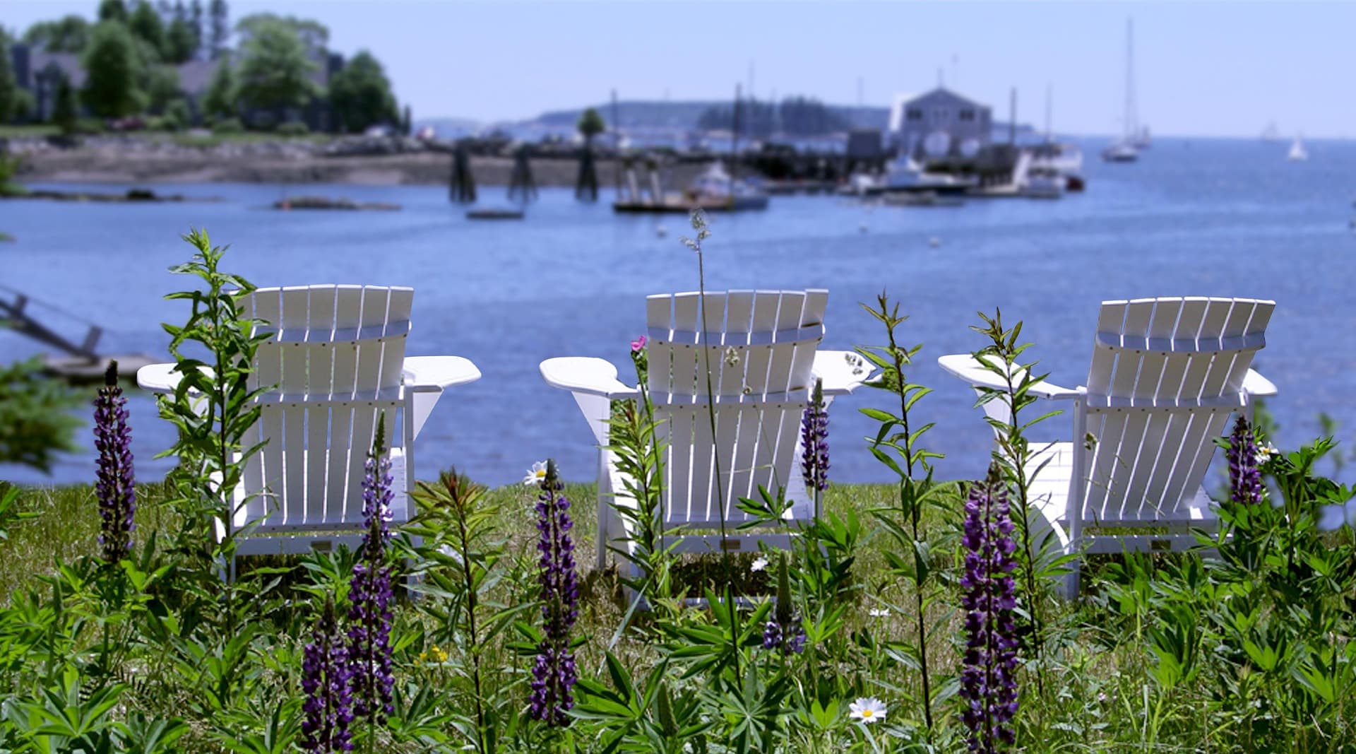 Three white Adirondack chairs overlook a calm bay dotted with boats, framed by blooming purple flowers.