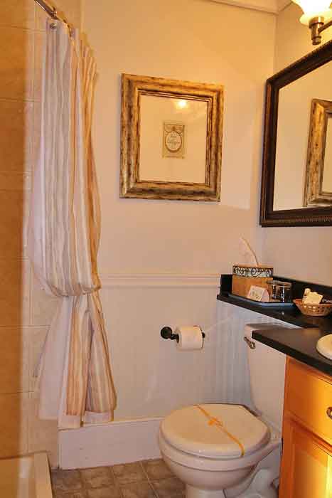 A small, well-lit bathroom featuring a toilet, sink, framed art, and a shower curtain.