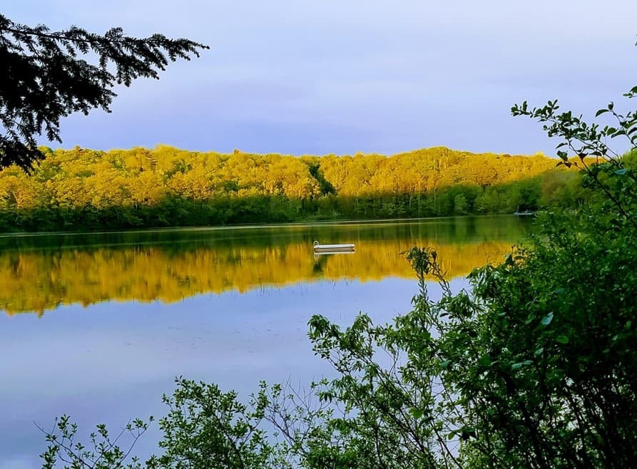 A serene lake reflecting greenery and a small boat under a clear sky.